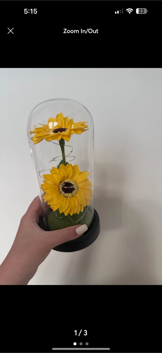 Sunflower Dome w/ Fairy Lights