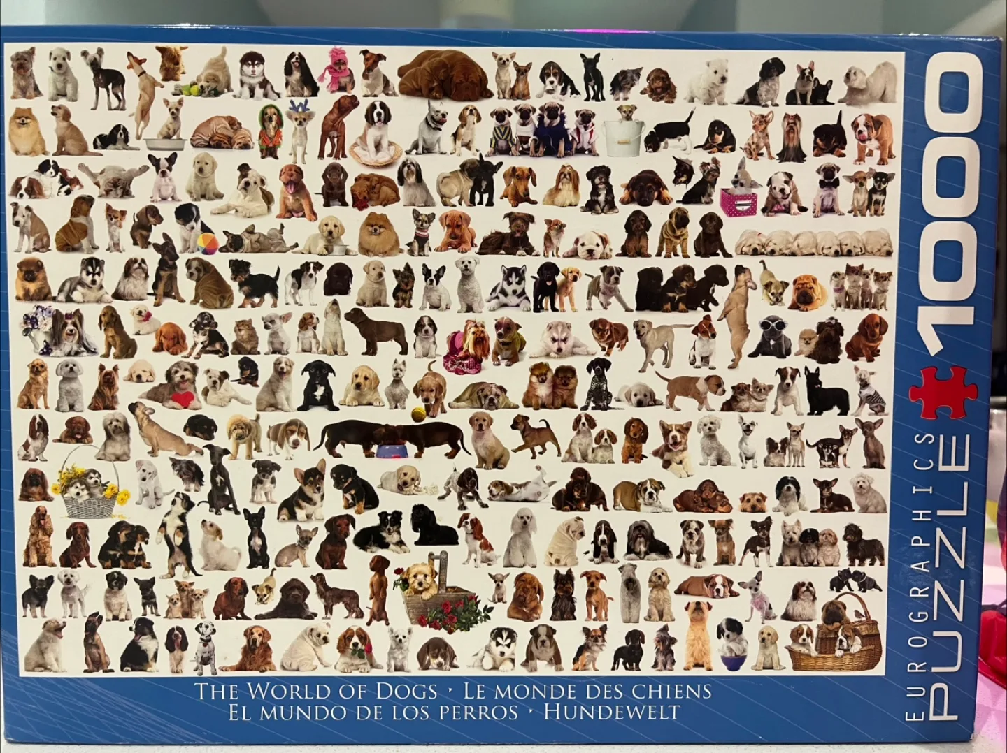 Variety of 1000-Piece Puzzles image indicator(5)