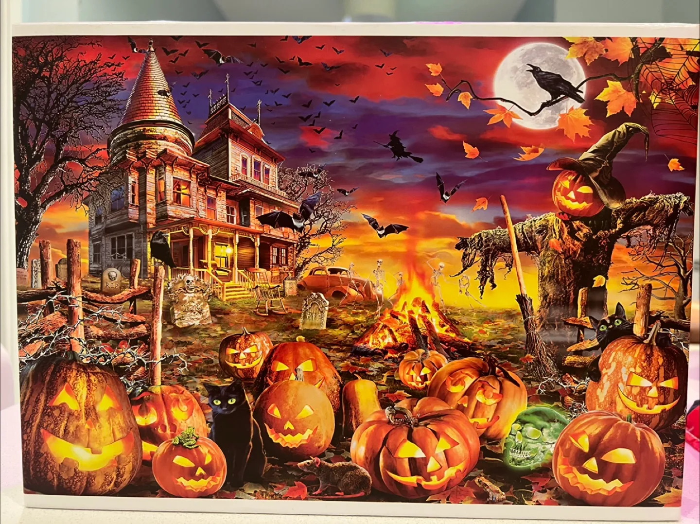 Variety of 1000-Piece Puzzles image indicator(4)