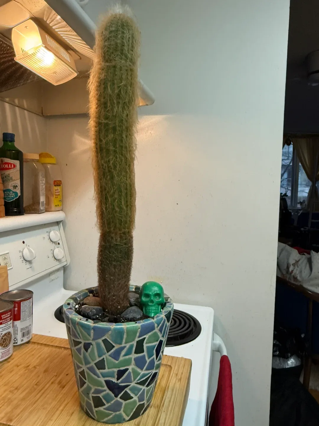 Tall Cactus in Mosaic Pot with Green Skull