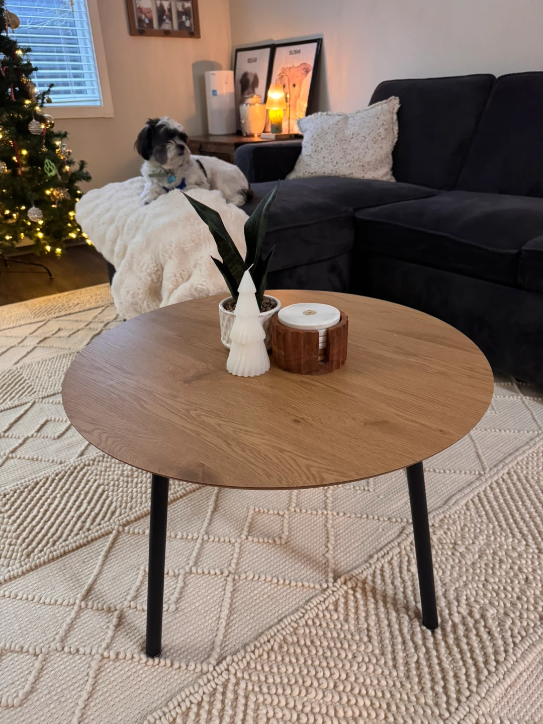 Living room coffee table