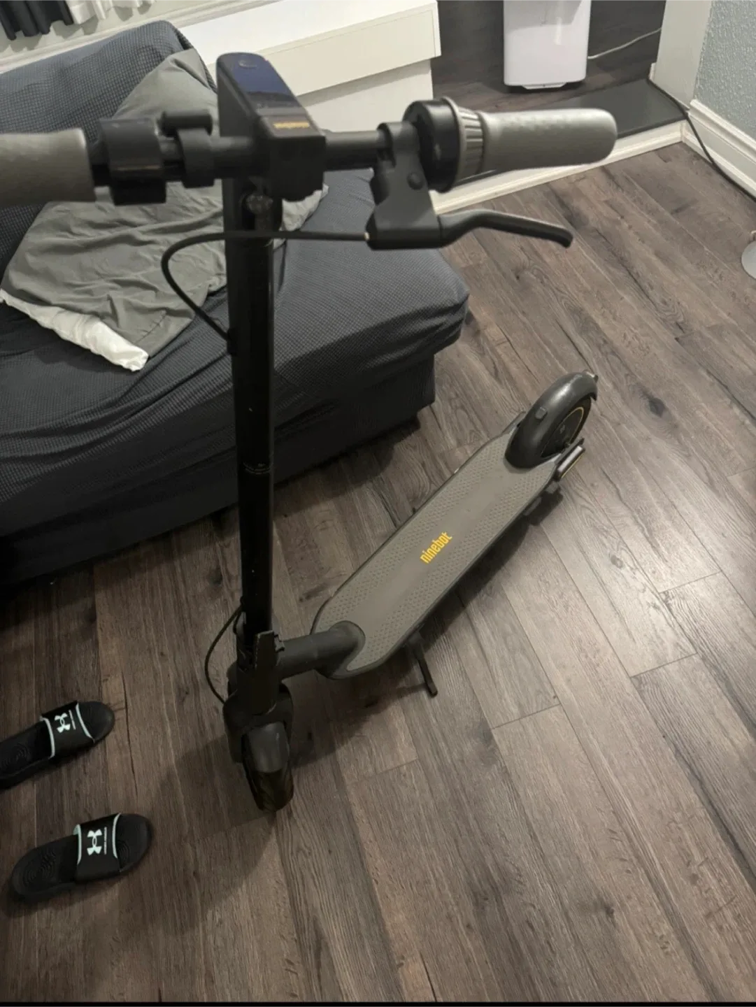 Ninebot Electric Scooter