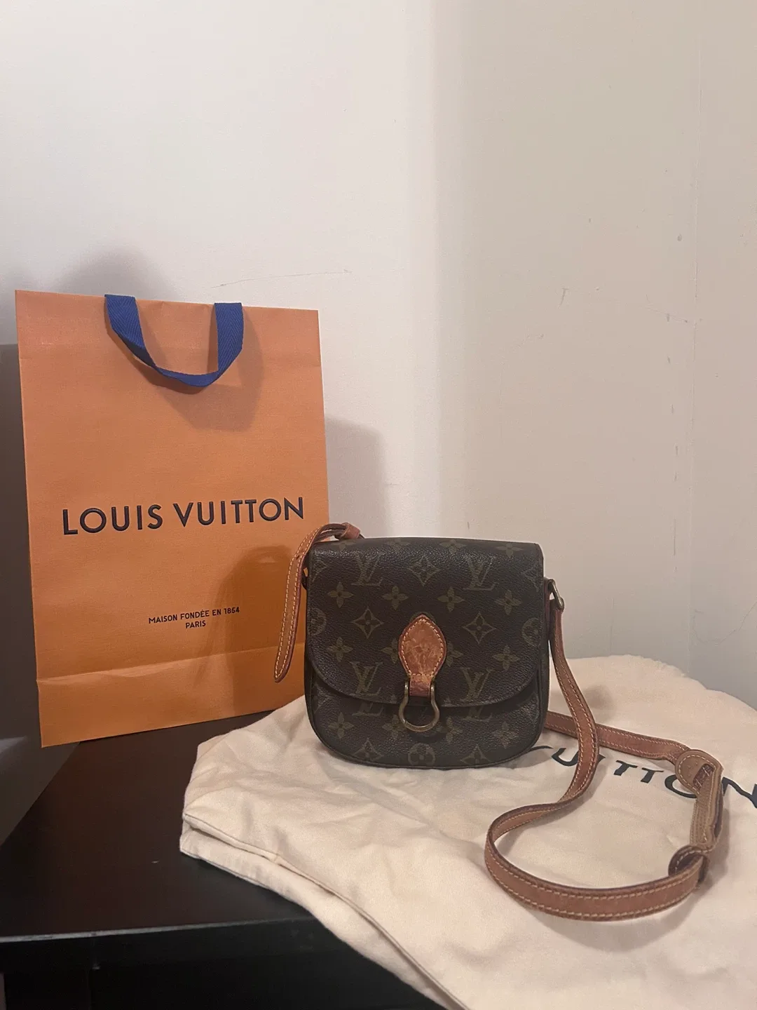 Louis Vuitton Monogram Trotteur Bag