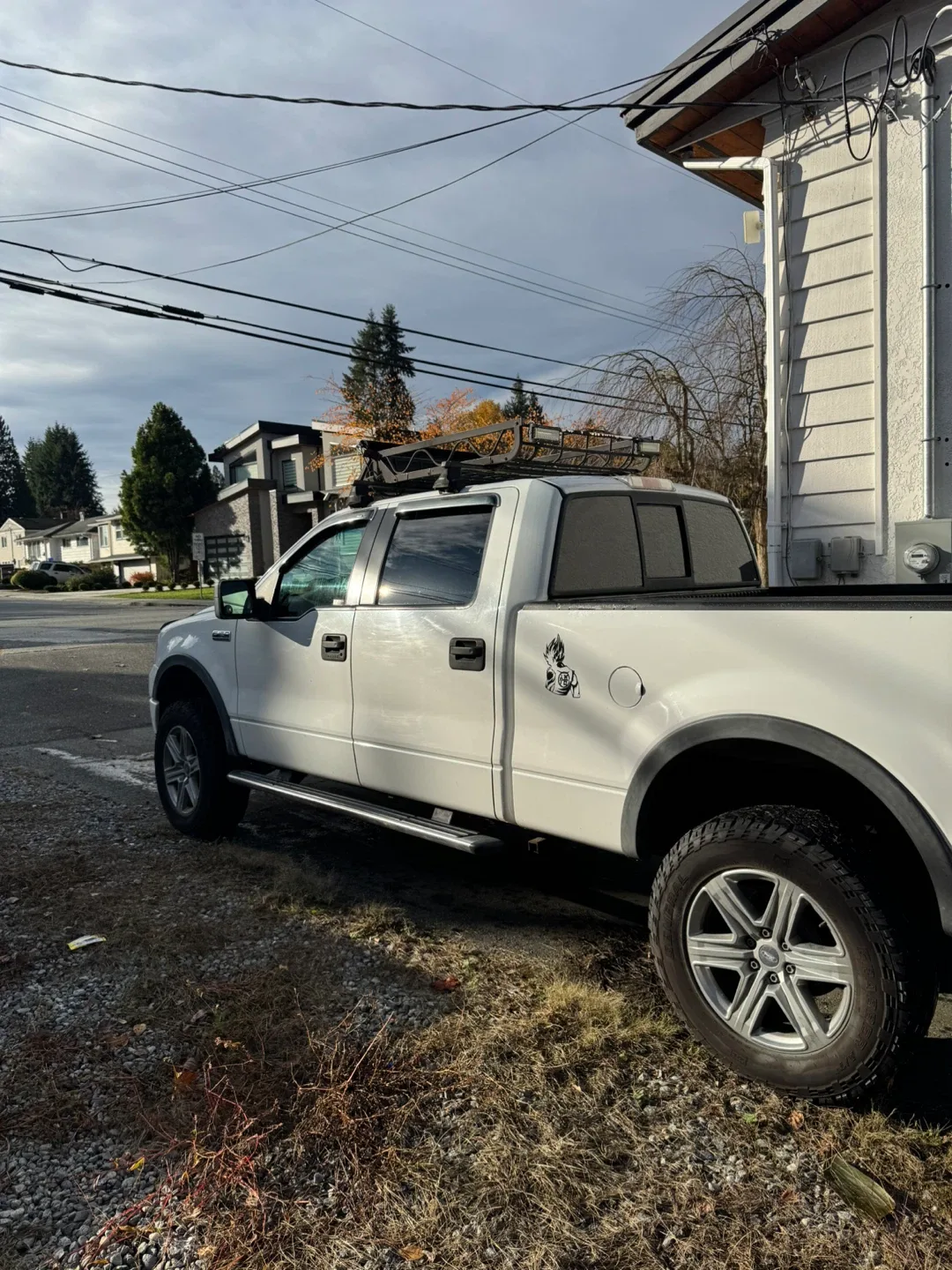 2006 Ford F-150 FX4 image indicator(6)