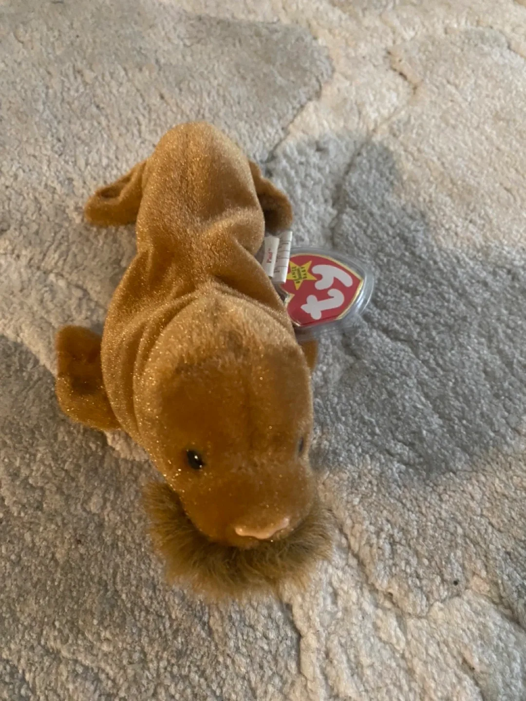 Ty Beanie Baby - Paul the Walrus