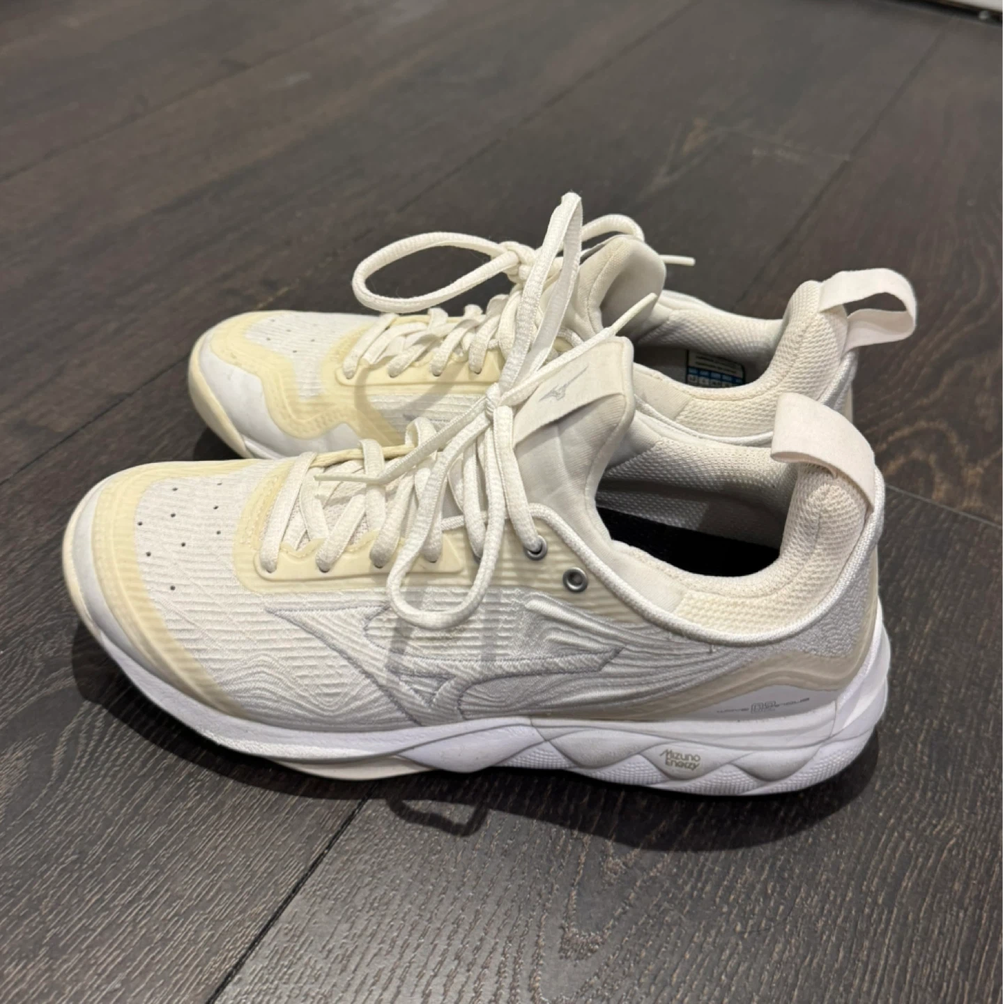 Mizuno Wave Volleyball Shoes