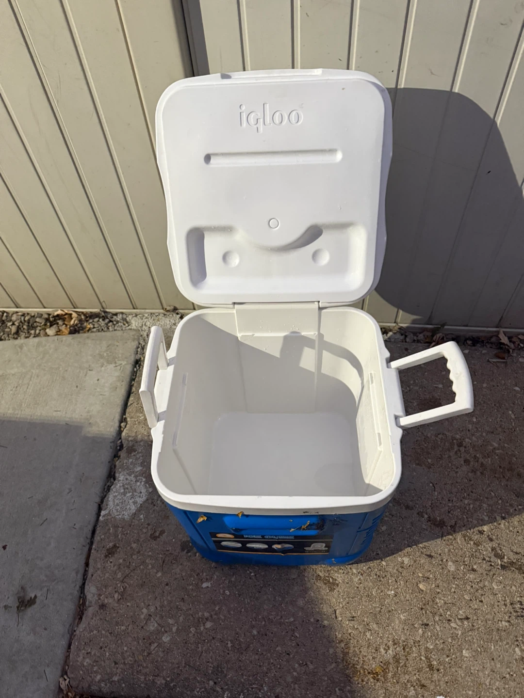 Igloo Ice Cube Cooler - Blue & White