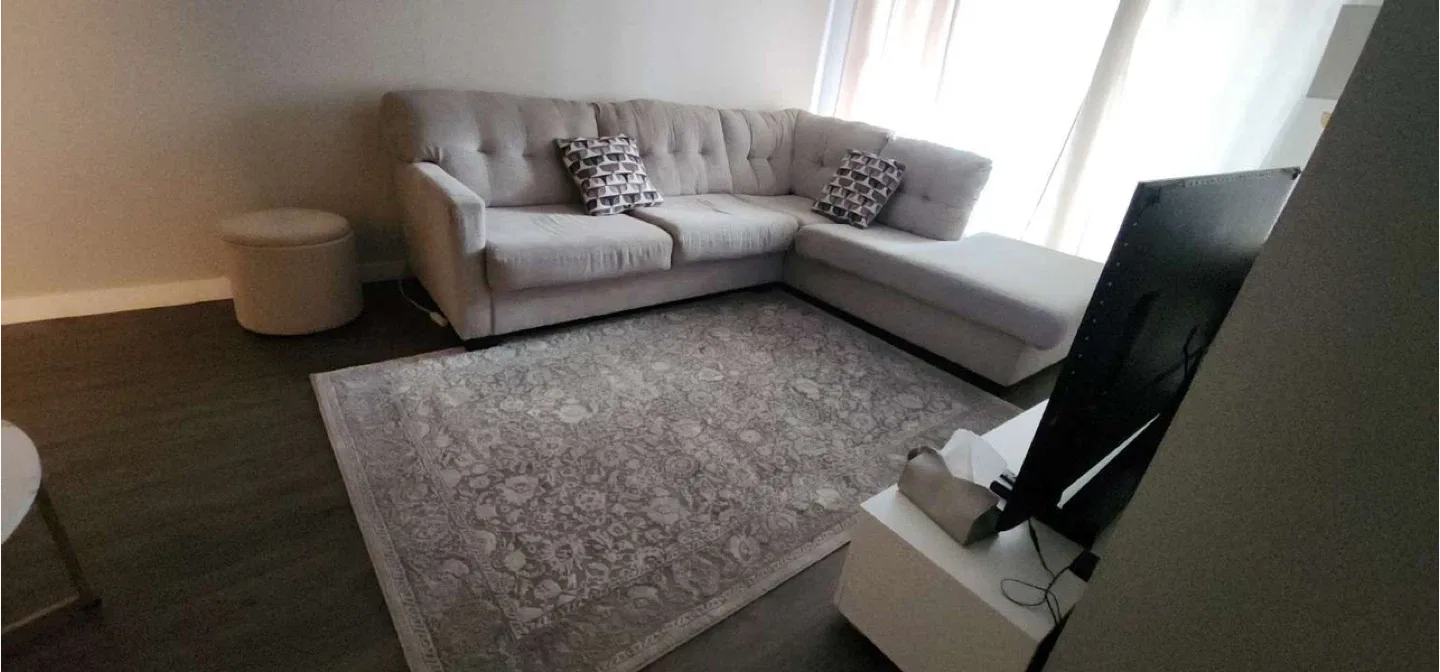 Sectional with 2 pillows and rug image indicator(2)