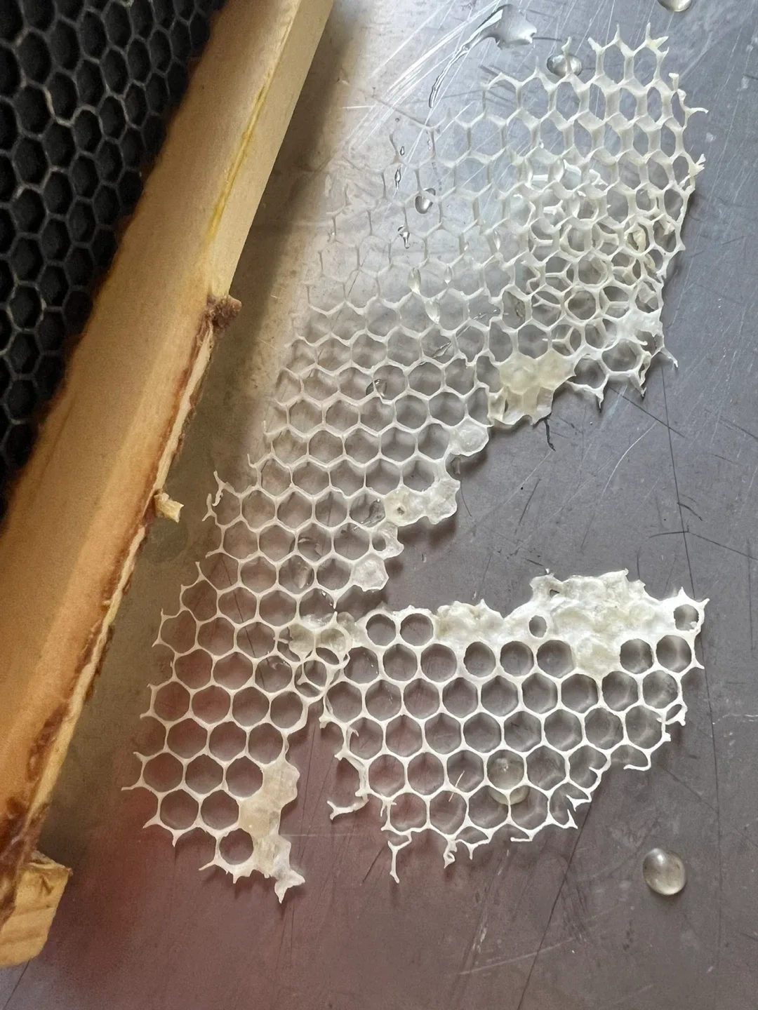 Raw, unpasteurized, local,  honey🍯- perfect hostess gift image indicator(9)