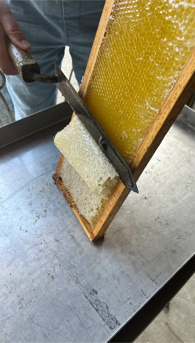 Raw, unpasteurized, local,  honey🍯- perfect hostess gift image indicator(8)