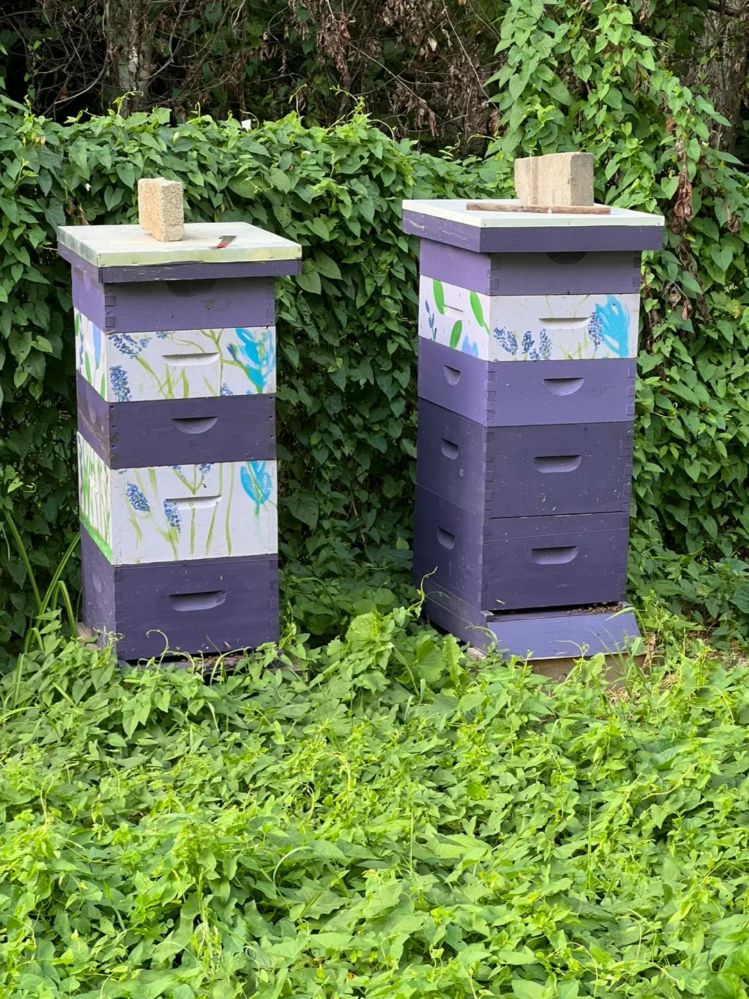 Raw, unpasteurized, local,  honey🍯- perfect hostess gift image indicator(3)