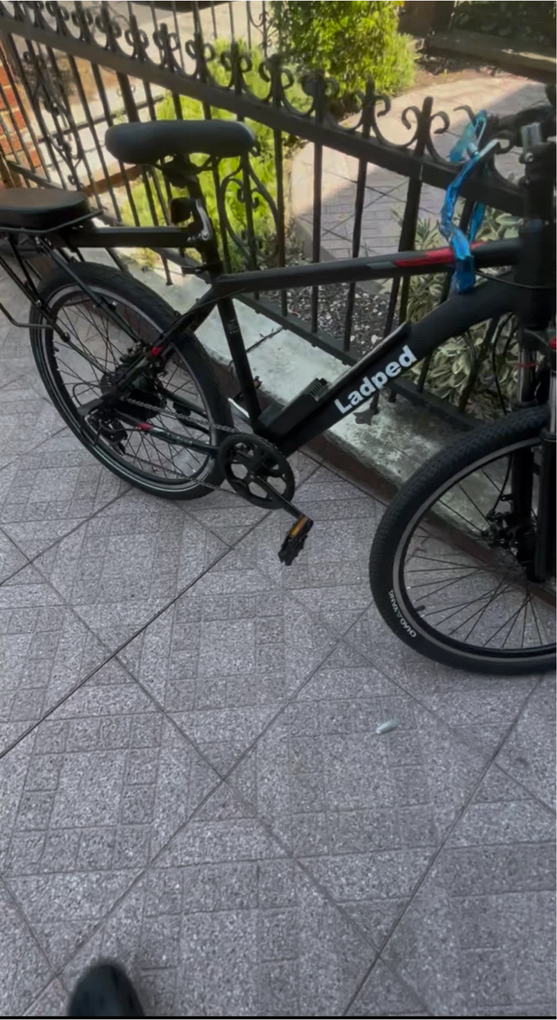 Ladped Electric Bike