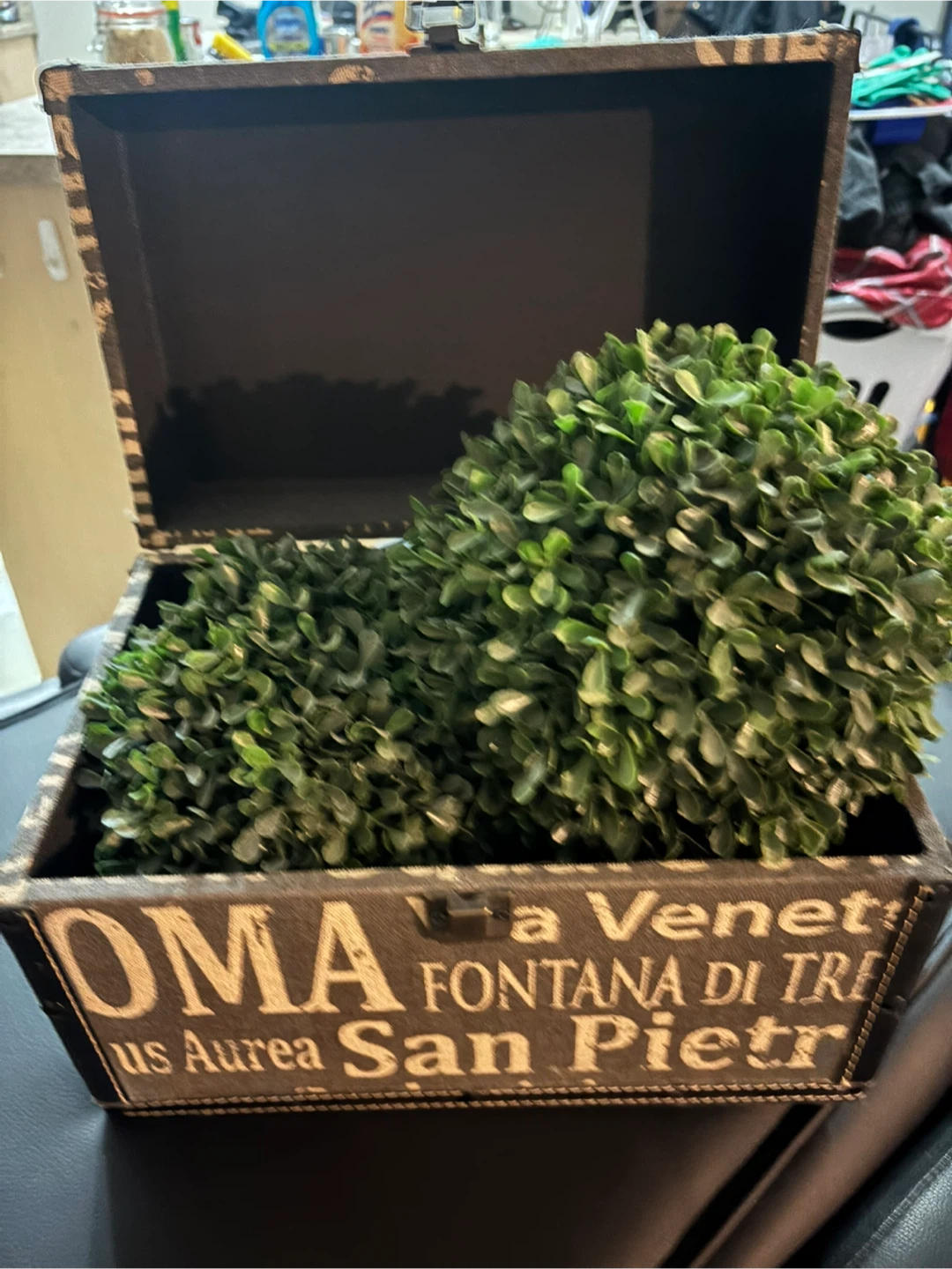 Decorative Storage Trunk with Faux Greenery - photo 3