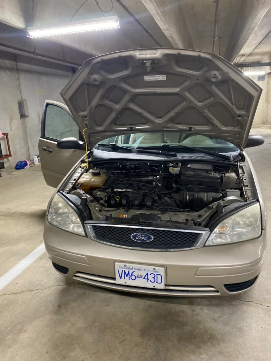 Ford Focus - Sedan image indicator(2)