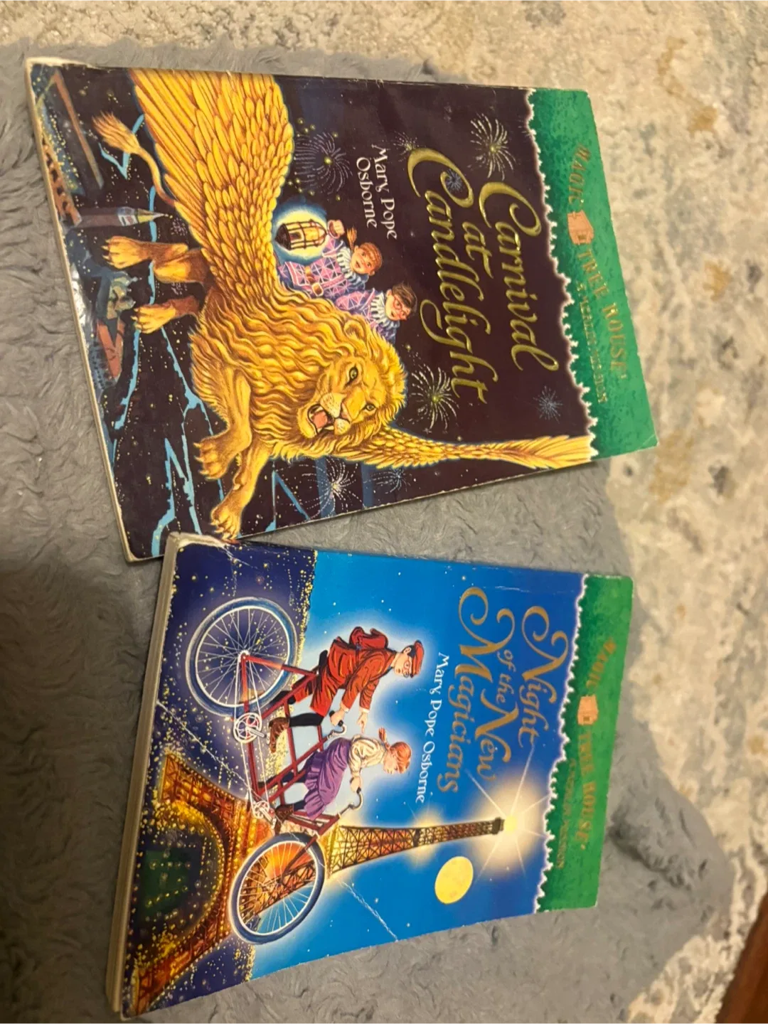 Magic tree house books