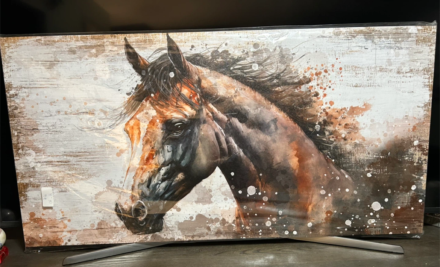 Horse Canvas Wall Art (24”H x 48”W)