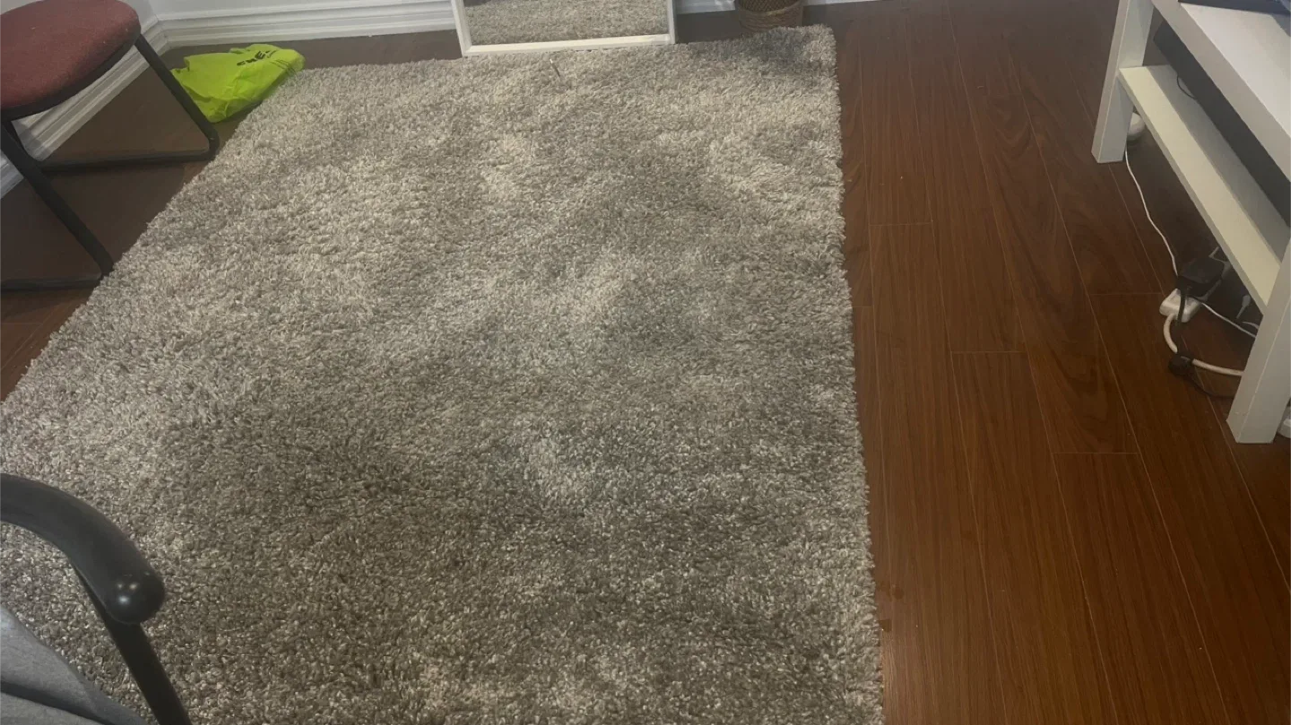 Grey Shag Rug image indicator(3)