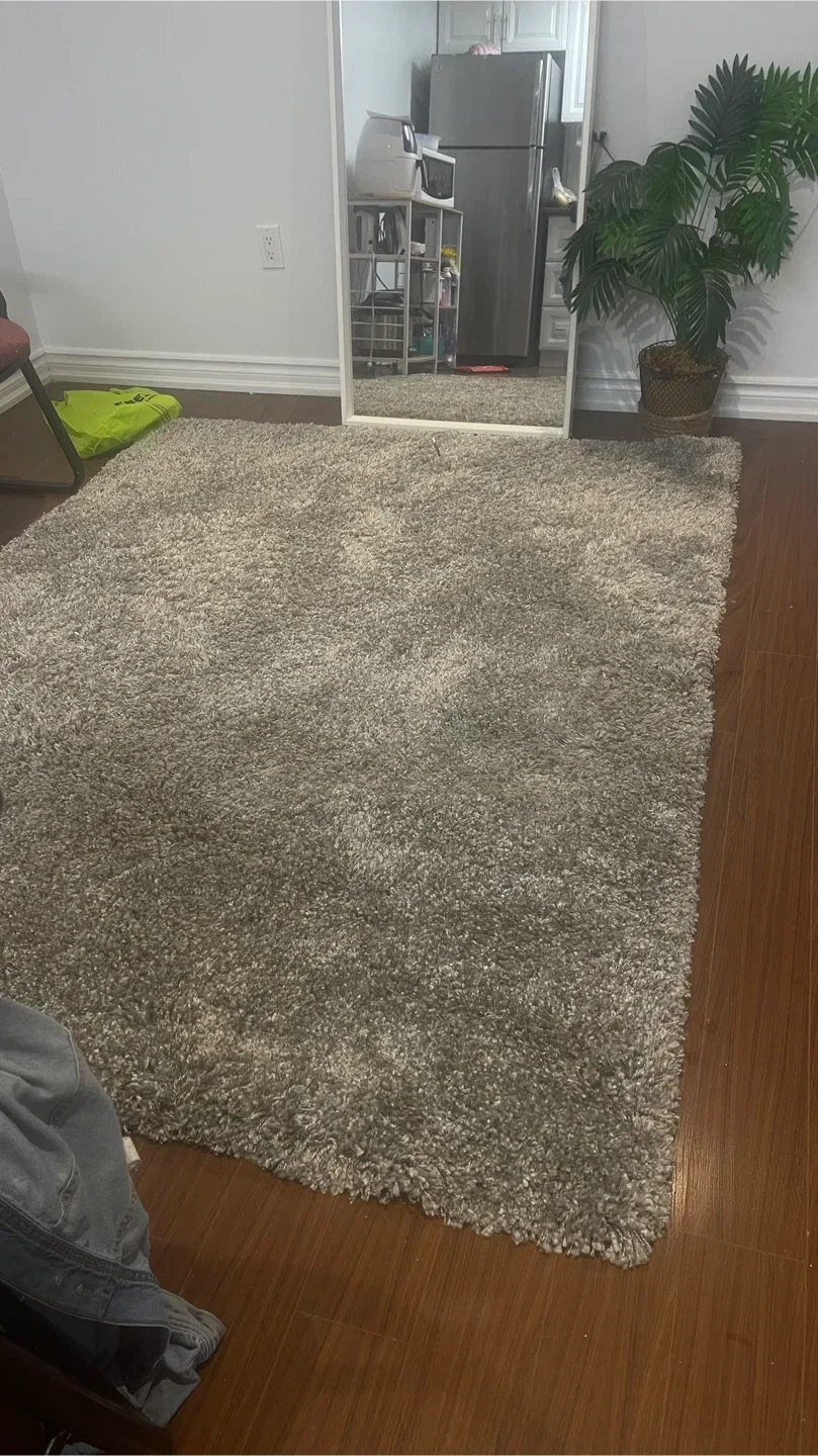 Grey Shag Rug image indicator(2)