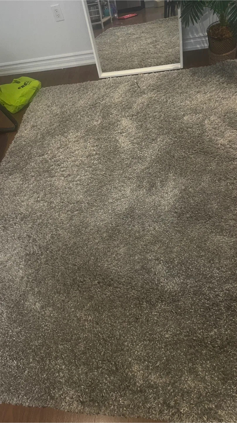 Grey Shag Rug