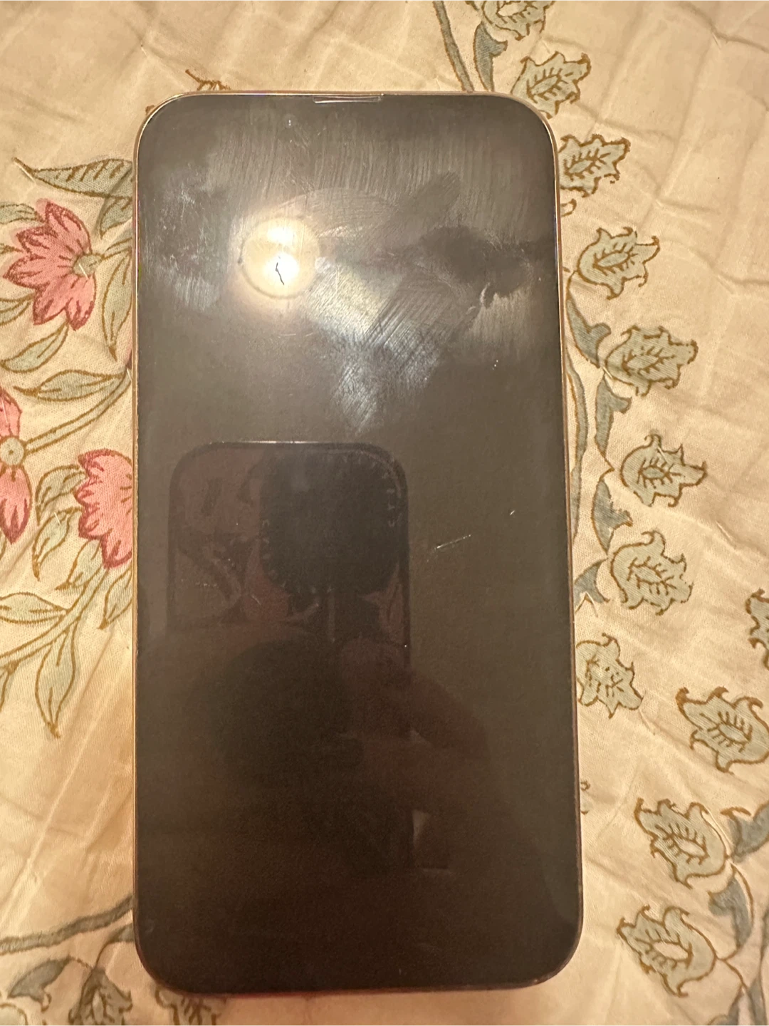 Apple iPhone 13 Pro Gold - photo 2