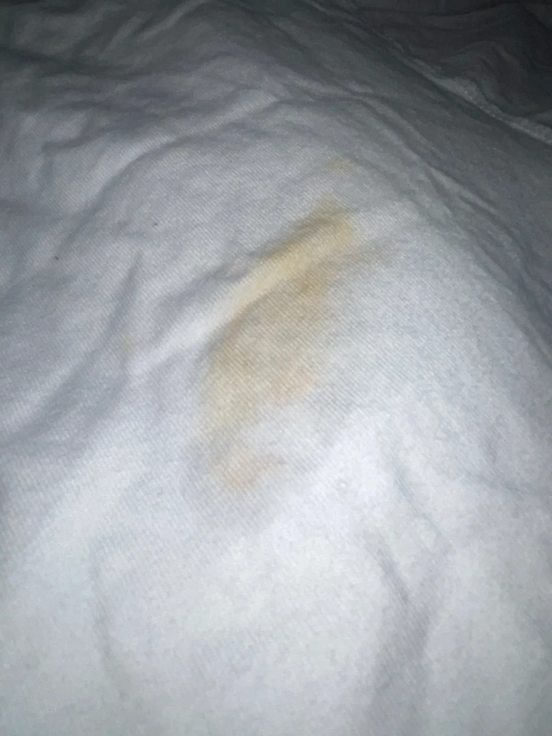 Pull&Bear Skater Graphic Tee image indicator(4)