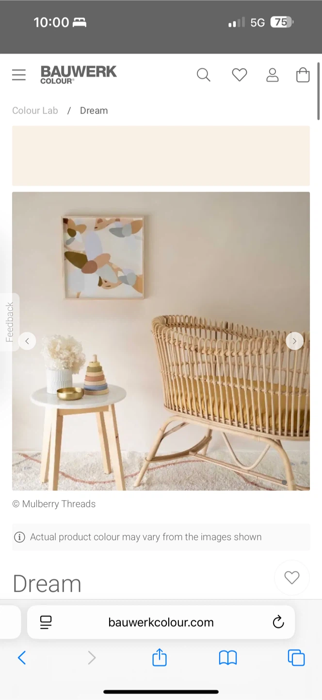 Bauwerk Colour Limewash Paint - Dream - photo 4