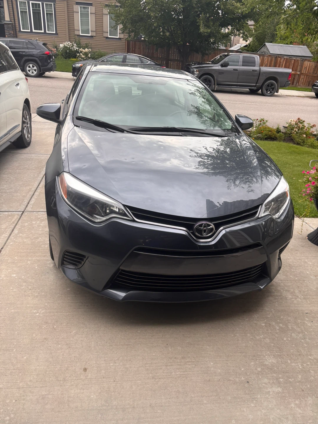 Toyota Corolla LE - Grey Sedan
