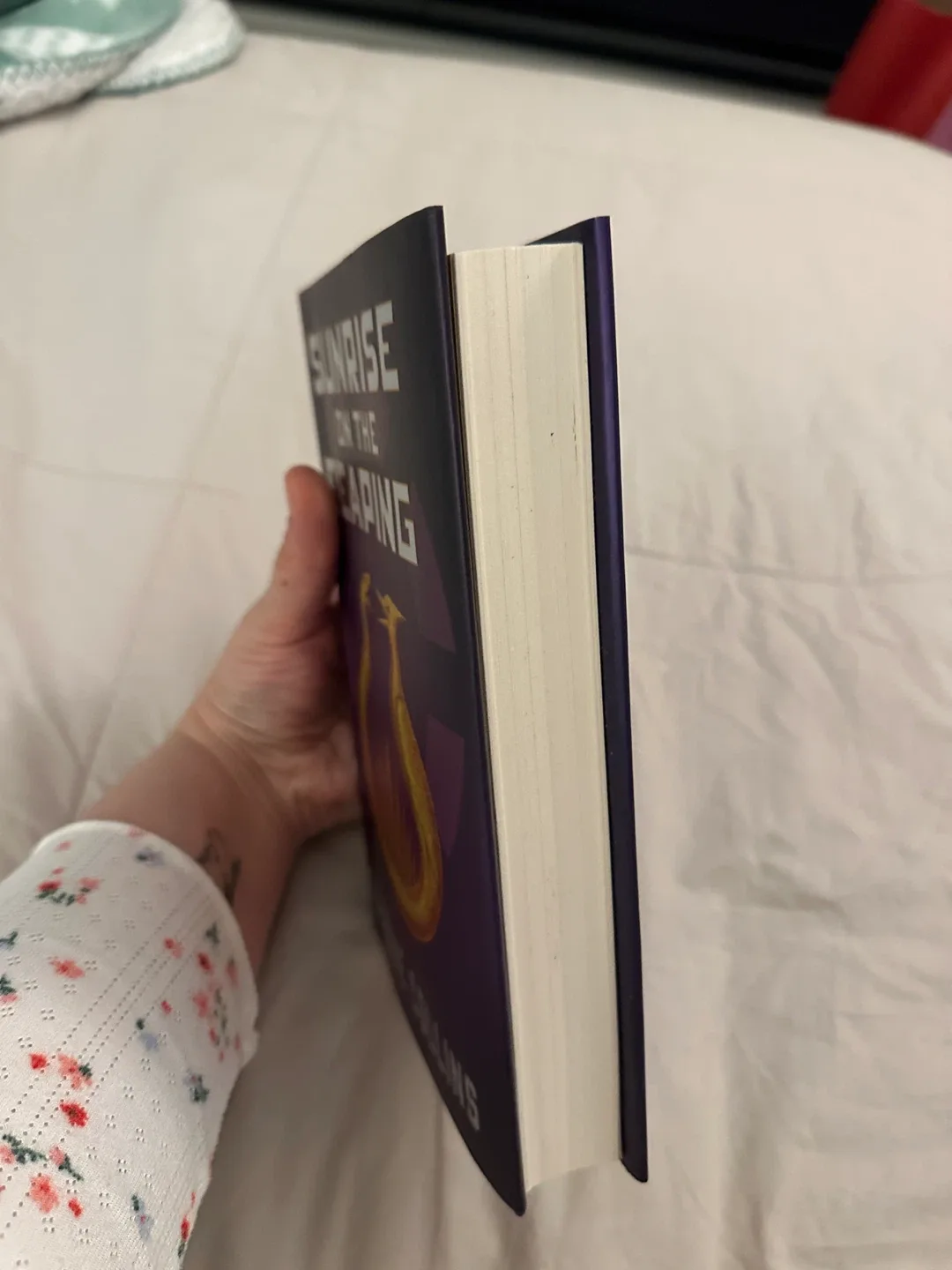 Sunrise on the Reaping - A Hunger Games Novel image indicator(3)