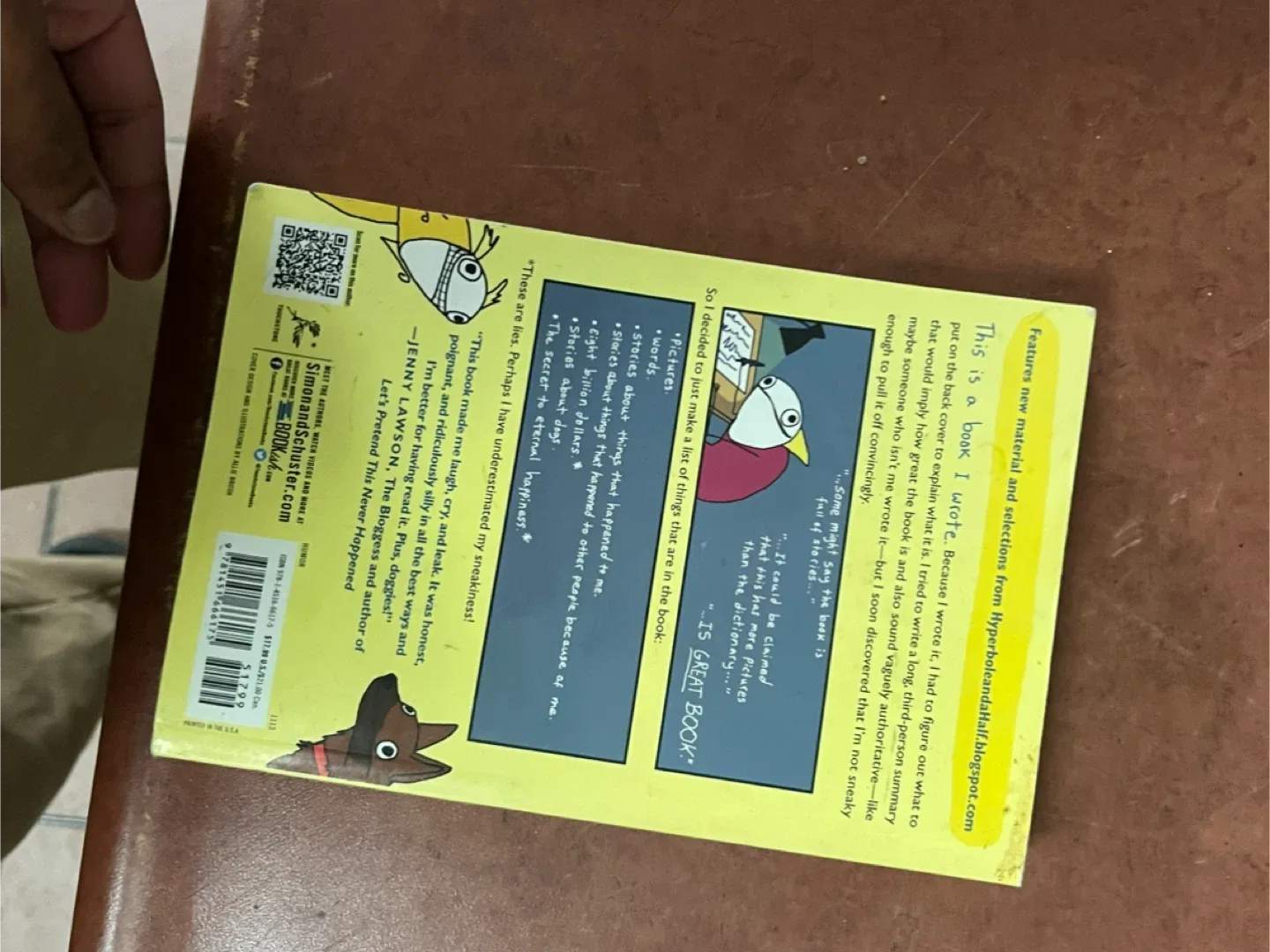 Hyperbole and a Half by Allie Brosh image indicator(3)