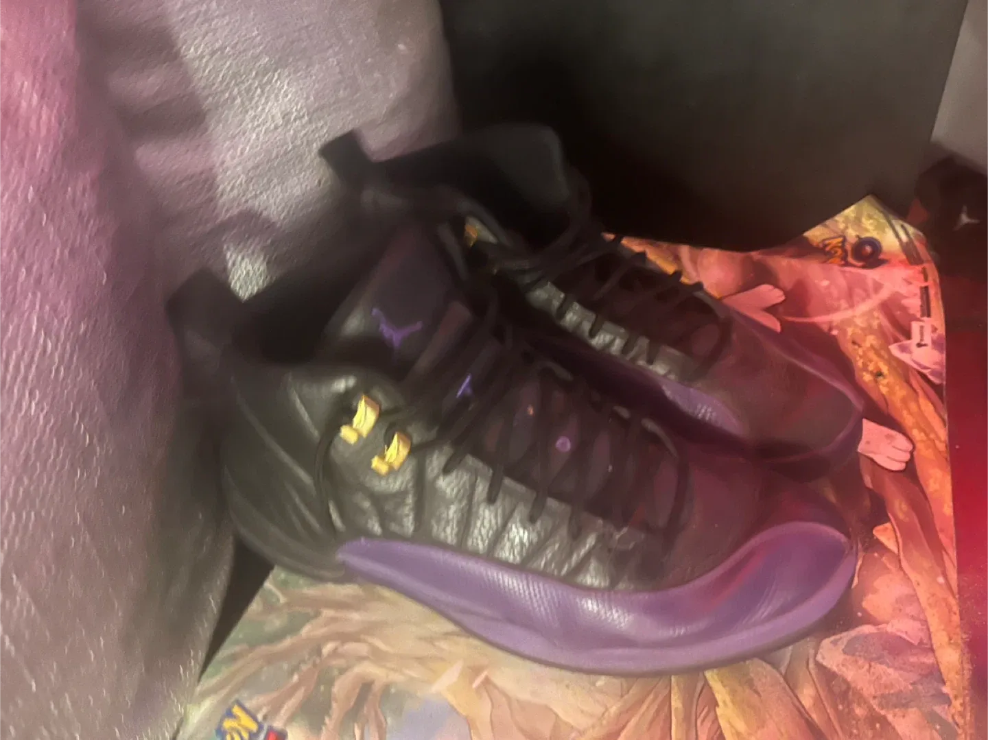 Air Jordan 12 Retro Black/Purple, Size 13 US image indicator(2)