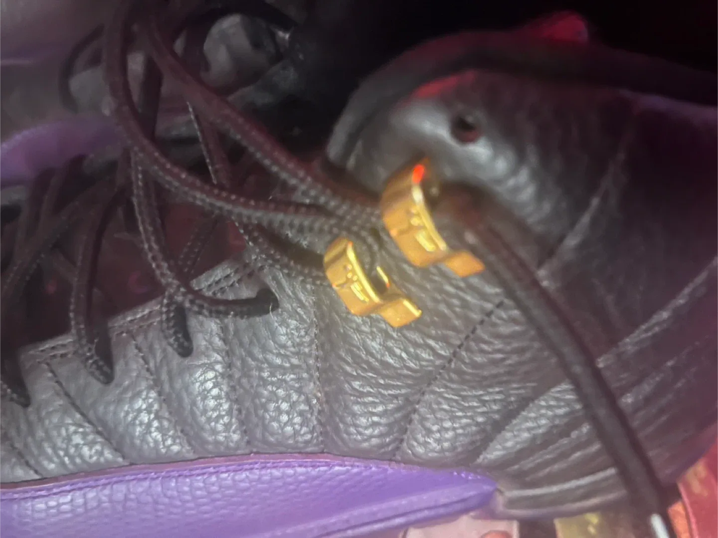 Air Jordan 12 Retro Black/Purple, Size 13 US image indicator(8)