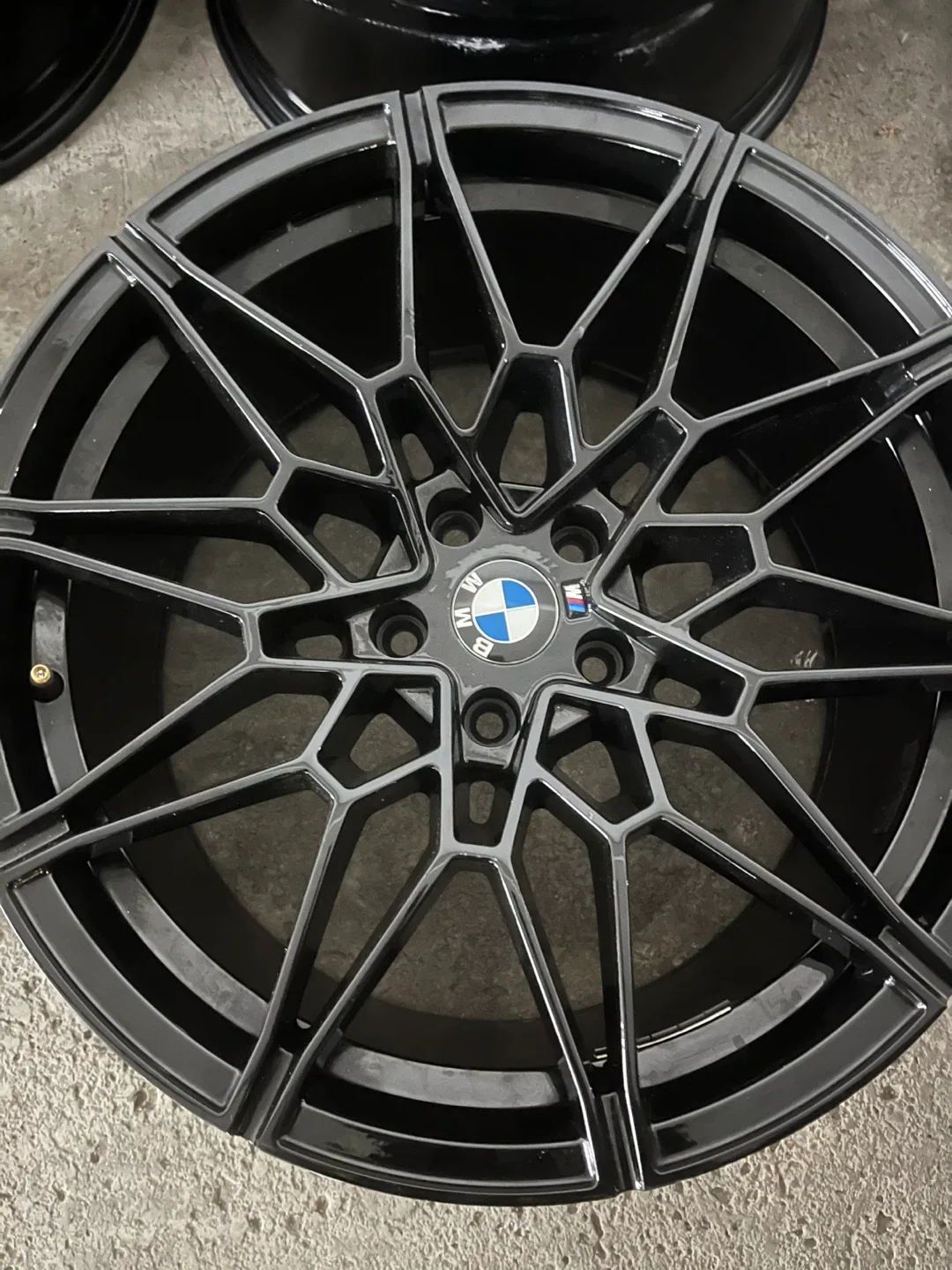 BMW RIMS image indicator(5)