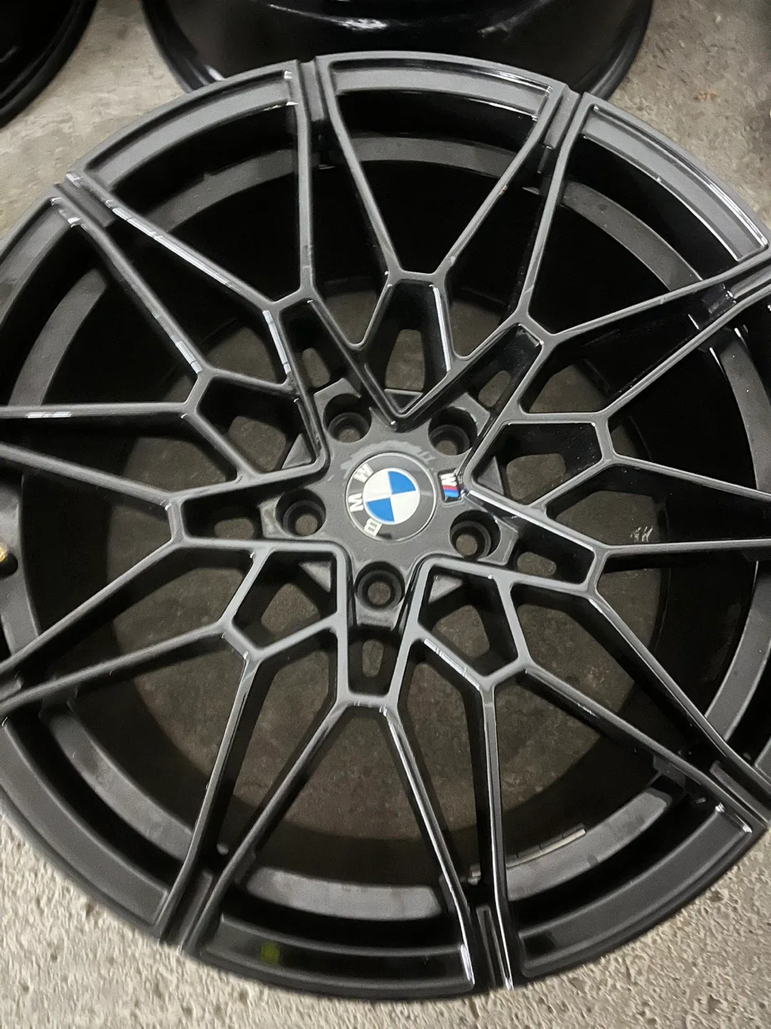 BMW RIMS image indicator(4)
