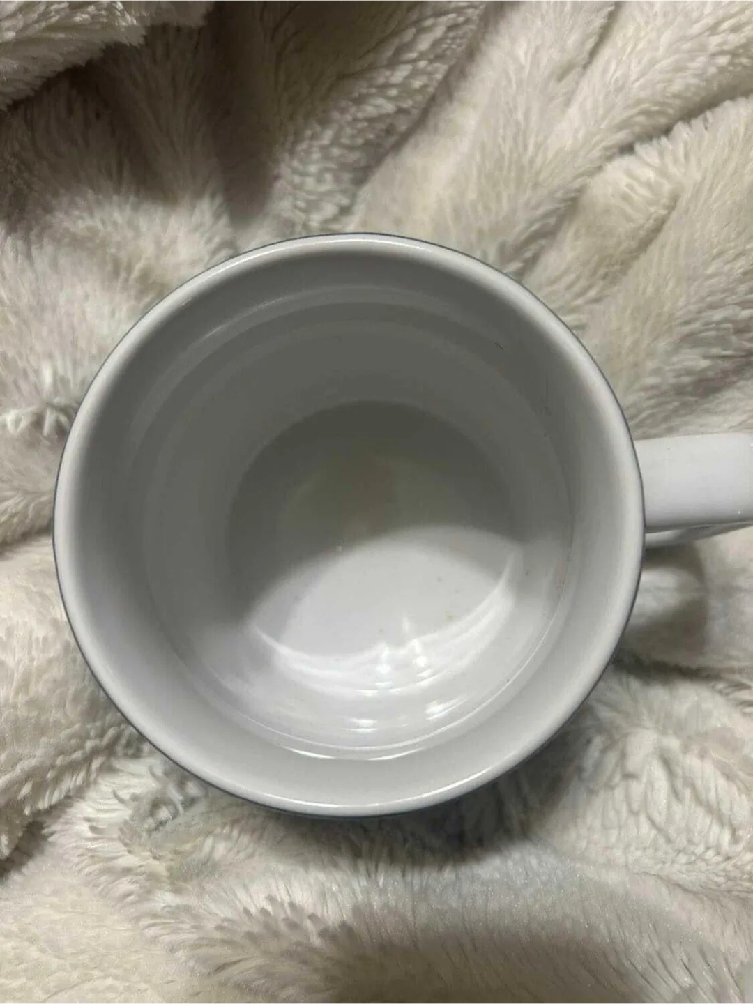 Toronto Maple Leafs NHL Mug image indicator(2)