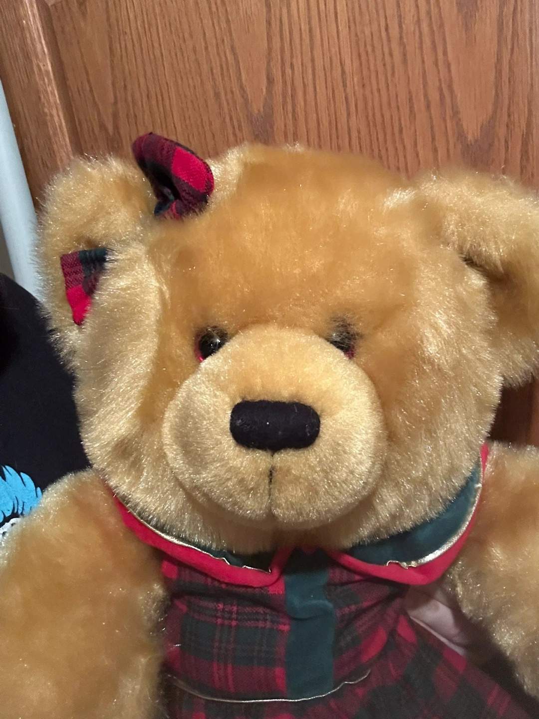 Cute Bear in plaid dress - photo 2