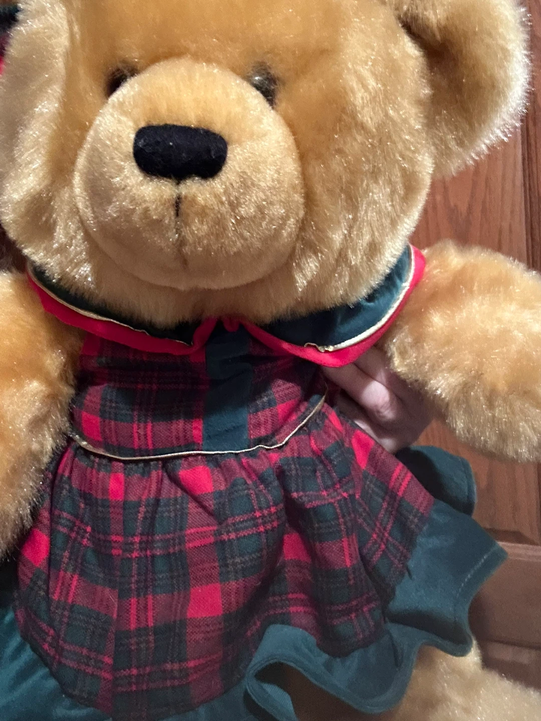 Cute Bear in plaid dress - photo 3