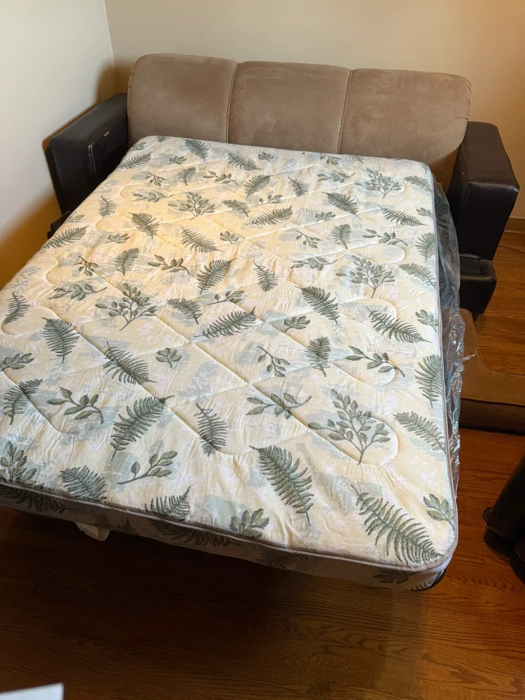 Sofa Bed - Pull Out Mattress Included image indicator(3)