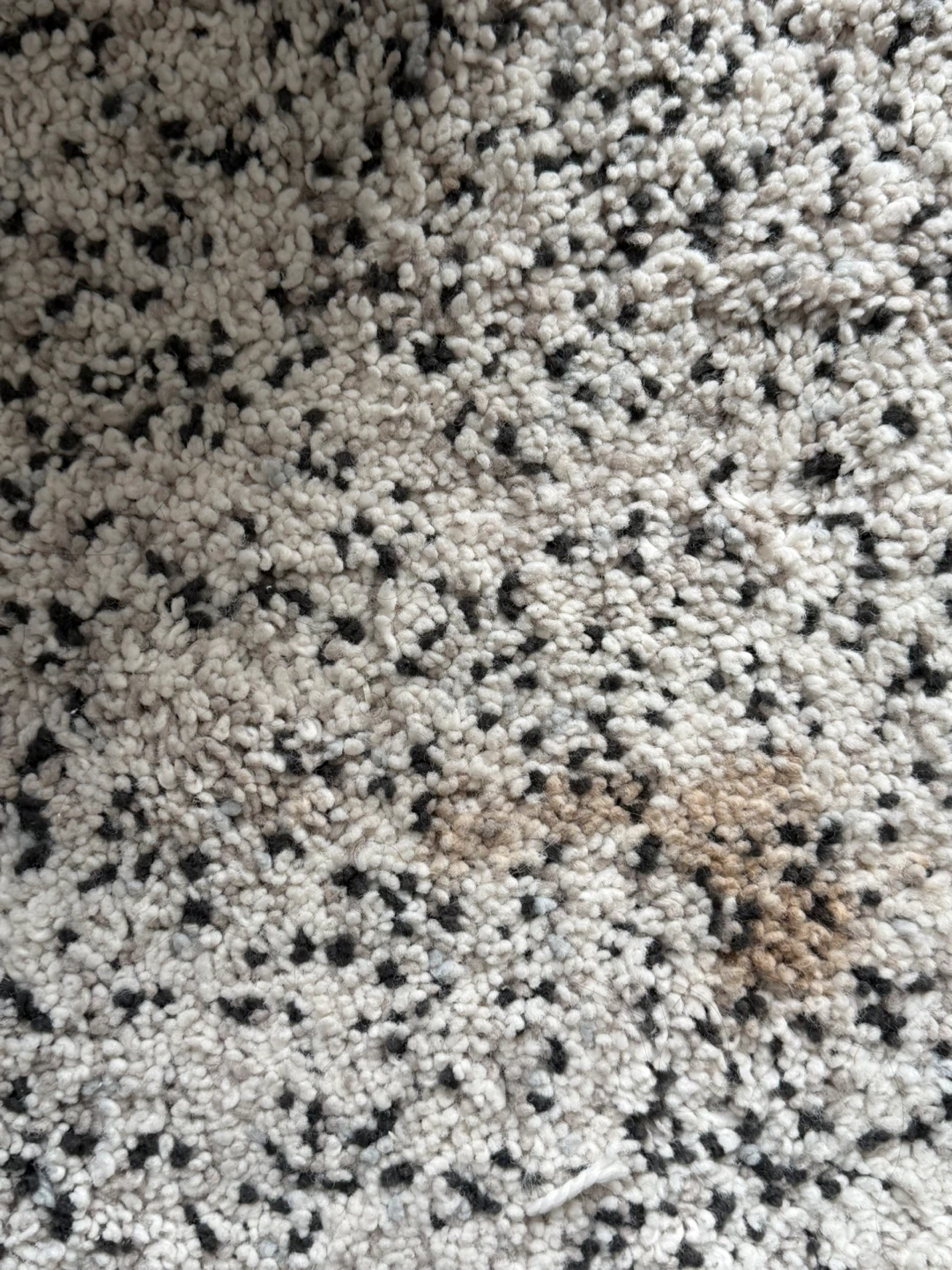 Rug - Black/White - photo 3
