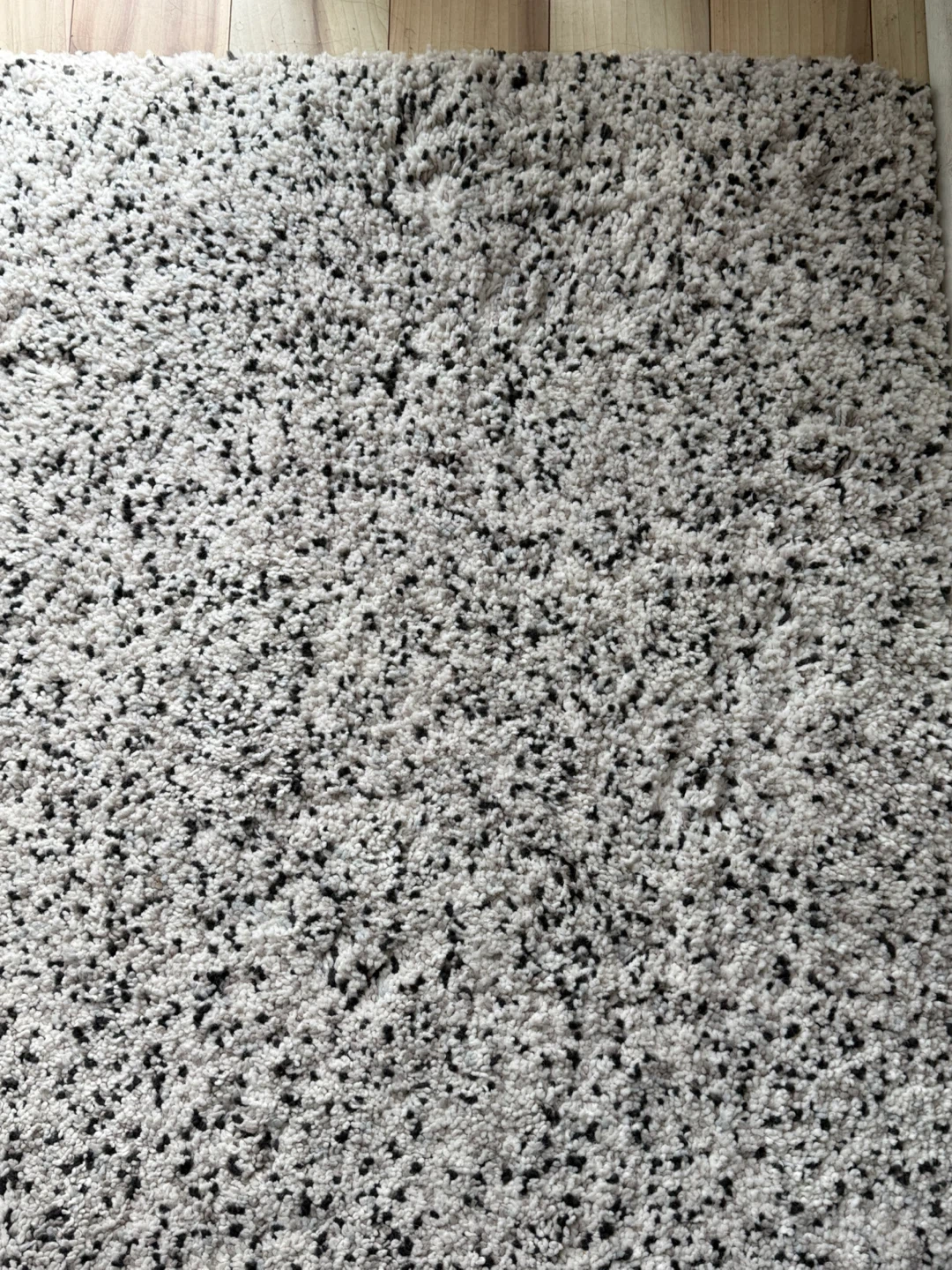 Rug - Black/White - photo 4