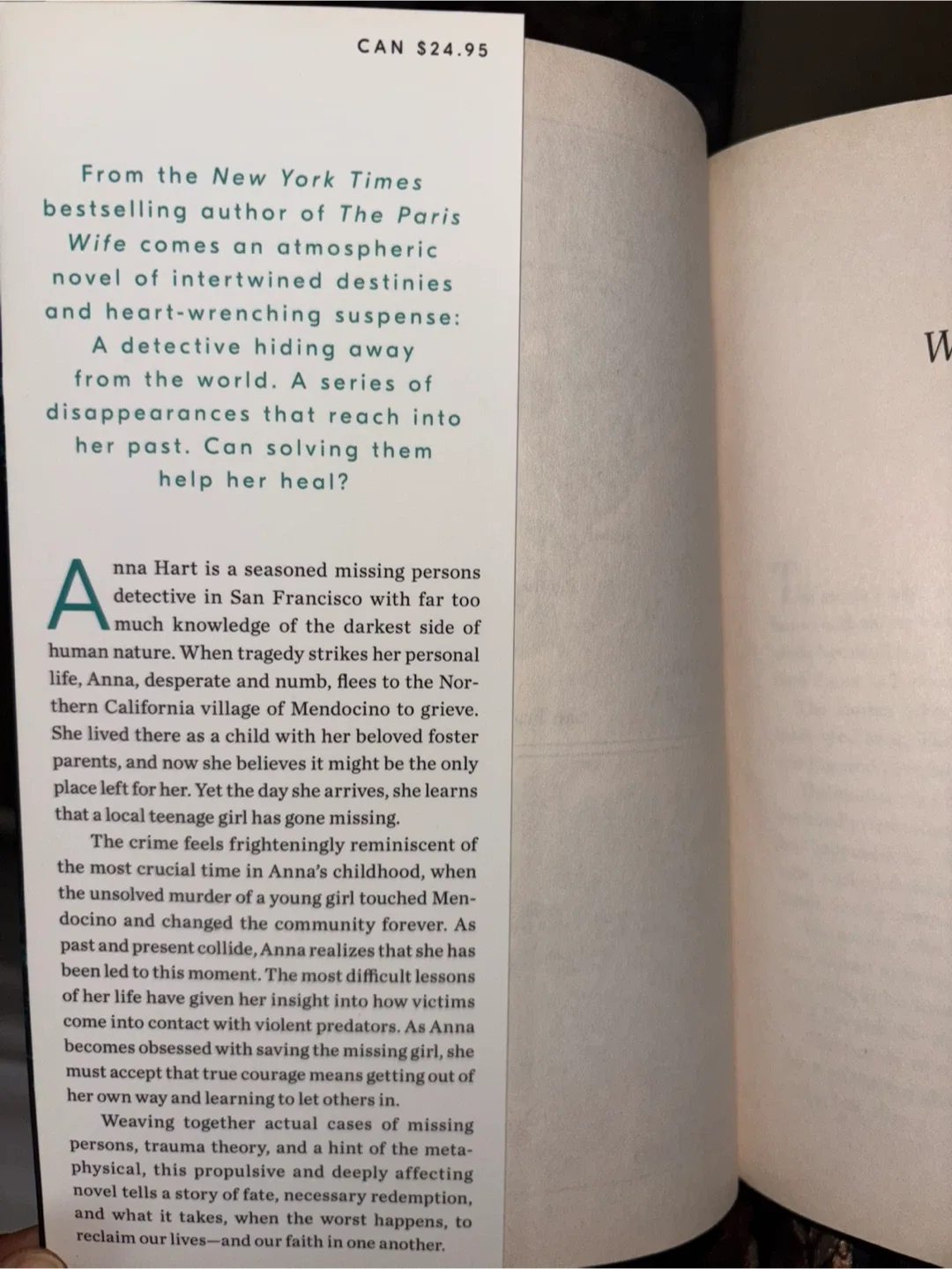 When the Stars Go Dark by Paula McLain image indicator(2)