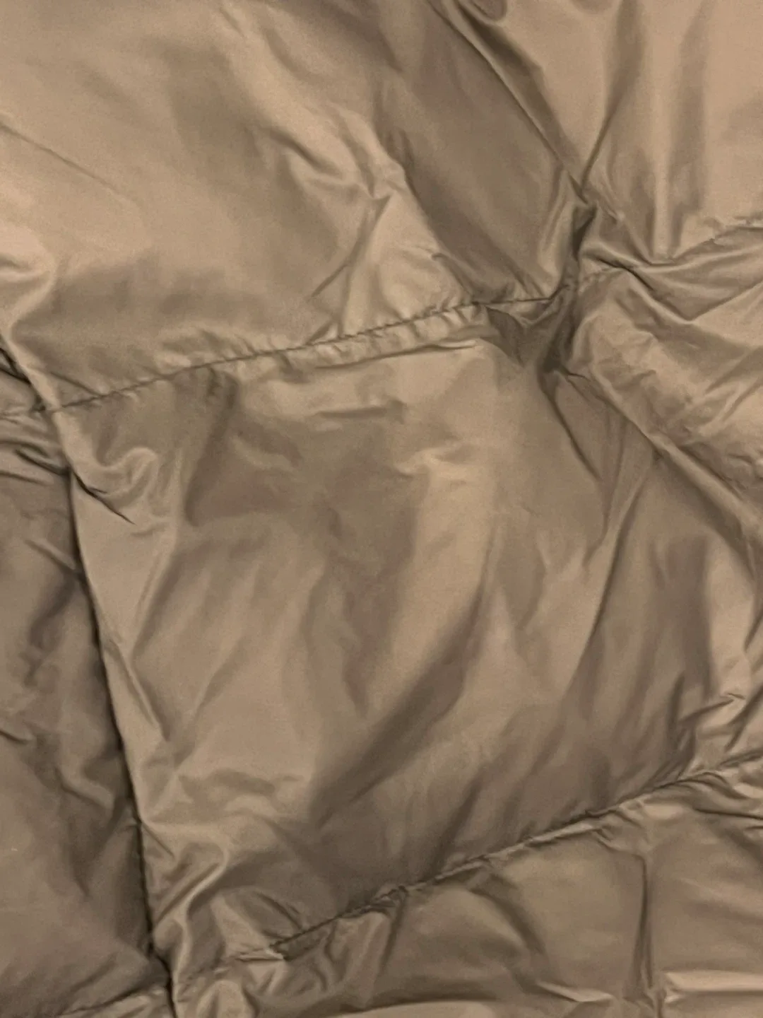 Joe Fresh Puffer Jacket - Size M image indicator(4)