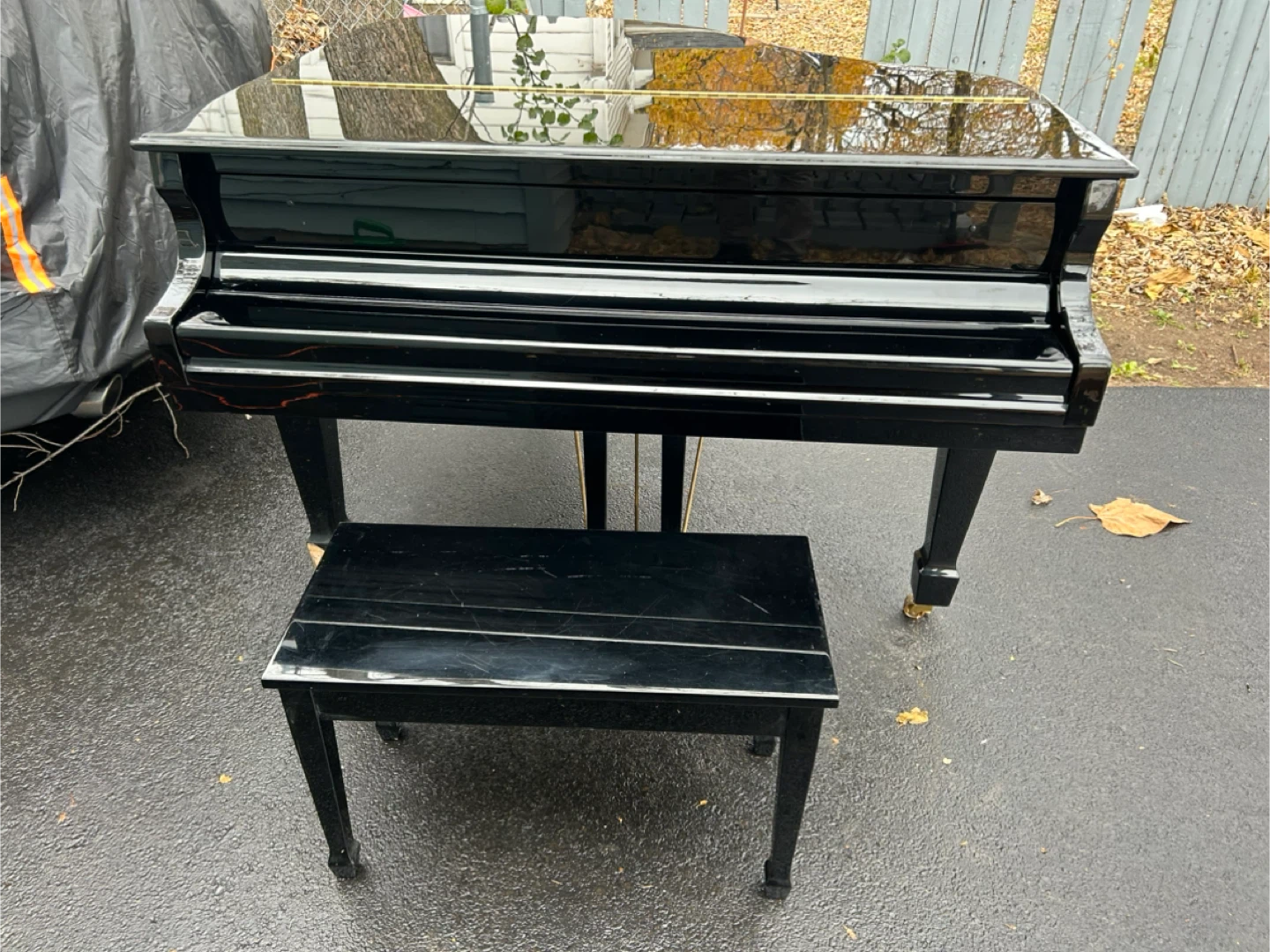 Falcone  Black Piano GF -52  with Bench