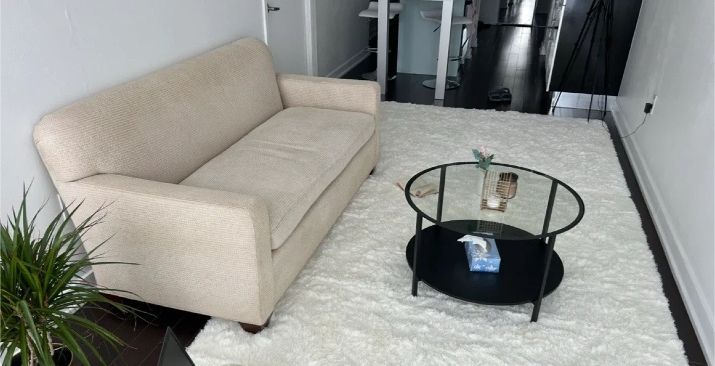Very comfortable cushion Sofa (moving sale/pickup)