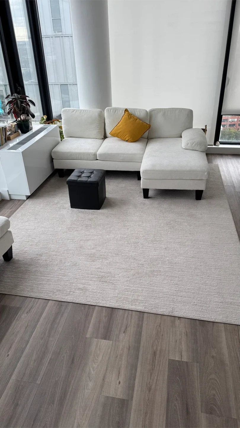 Beige Area Rug image indicator(3)