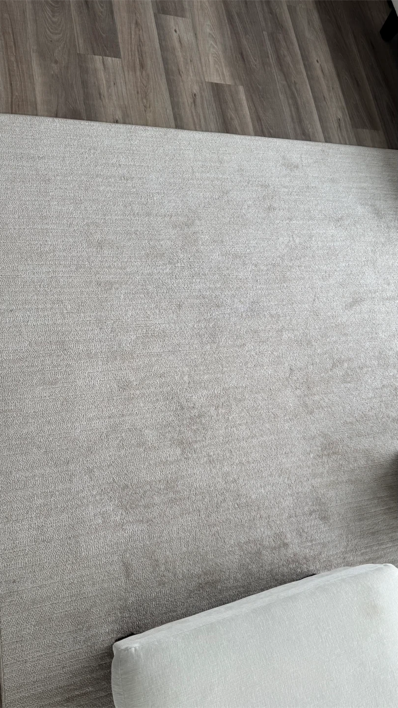 Beige Area Rug - photo 2