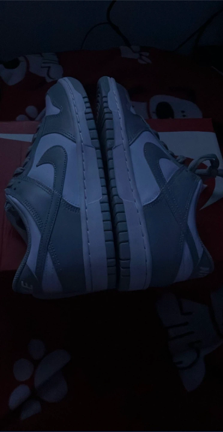Nike Dunk Low Grey/White Shoes