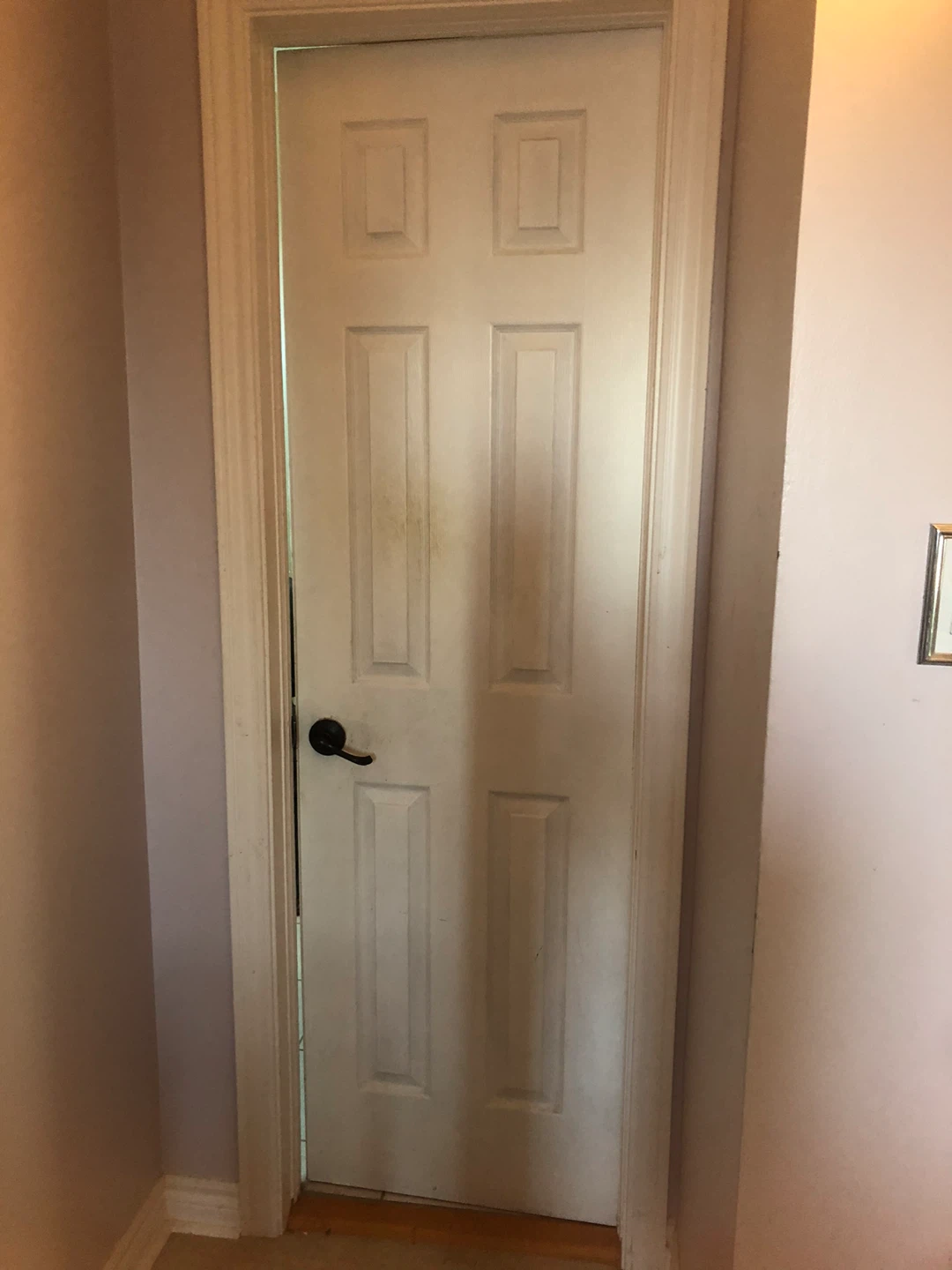 Interior Doors with Black Handles - photo 2