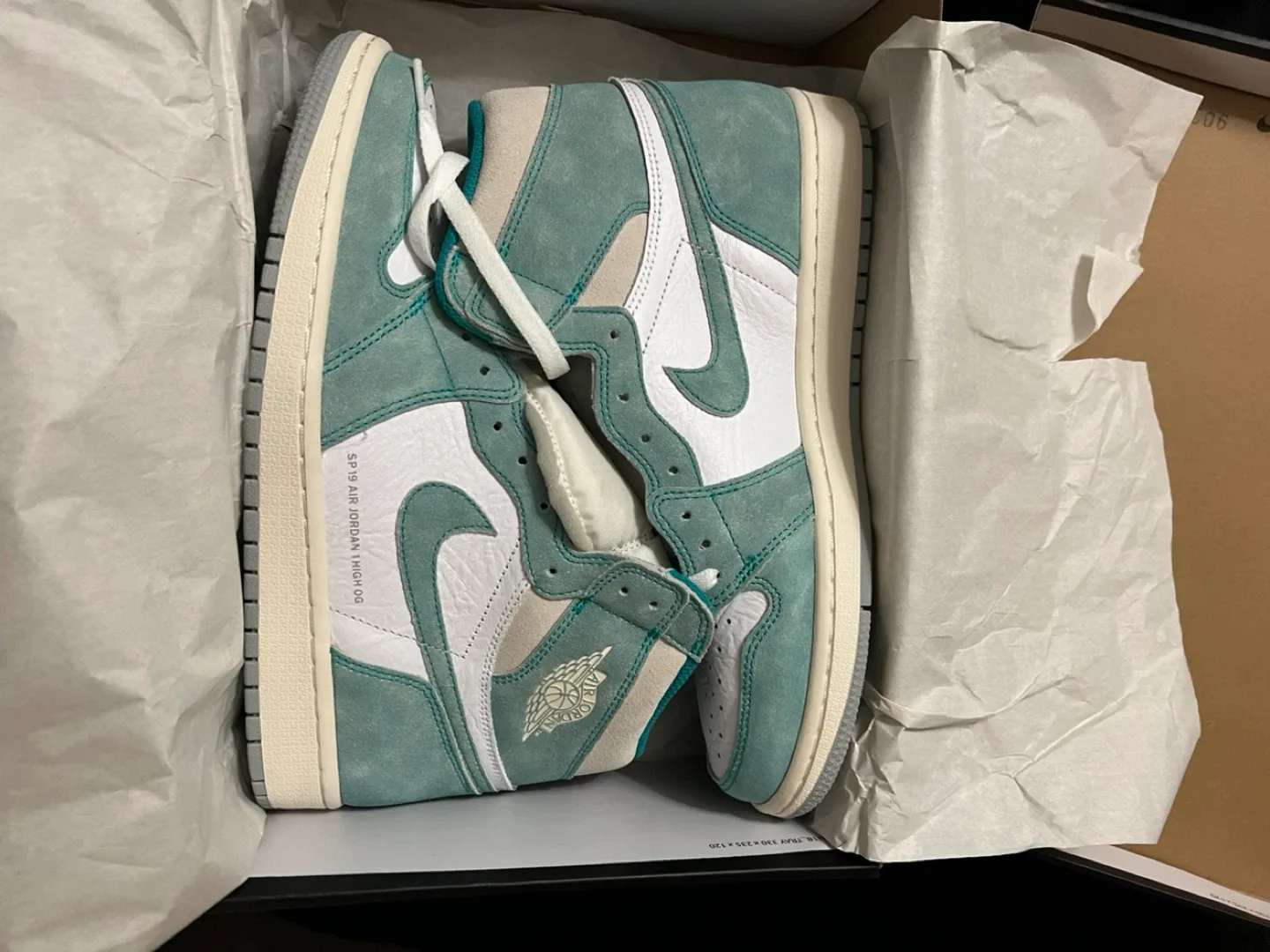 Nike Air Jordan 1 Retro High OG Turbo Green, Size 10 image indicator(2)