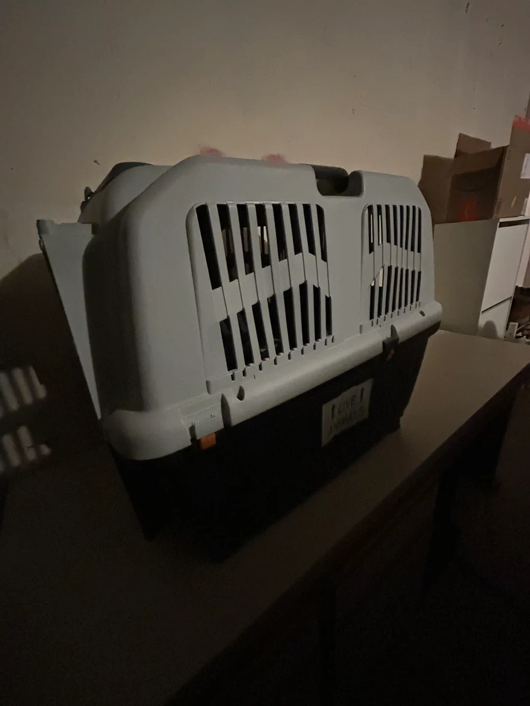 Airline Pet Carrier with Bed