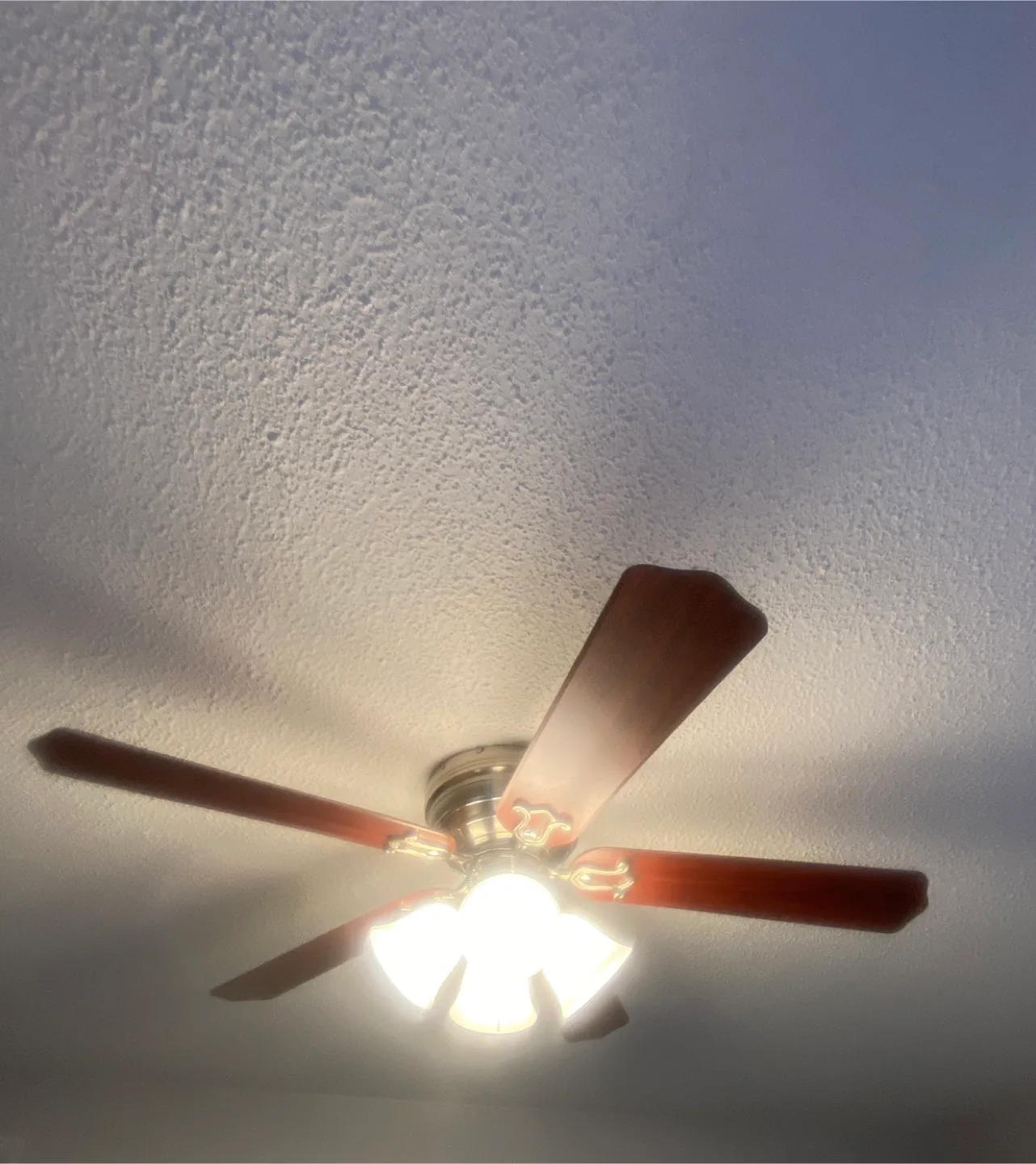 Ceiling Fan with Light Kit working condition image indicator(7)